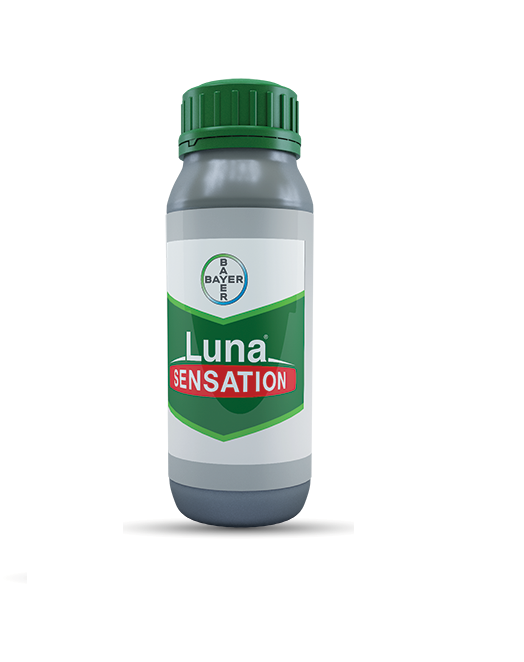 luna-sensation - Fungicid